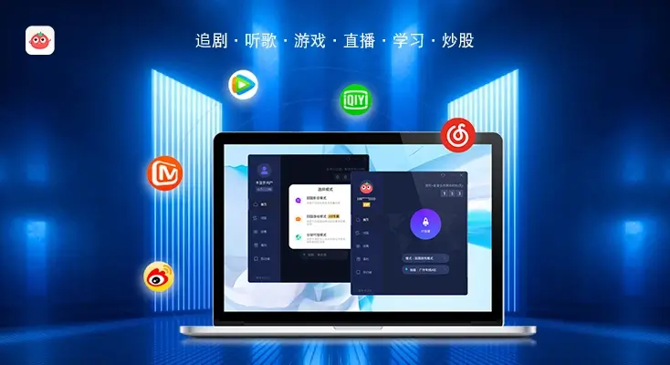 闪电回国vpn apk图解