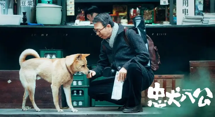 在国外看爱奇艺怎么解除地域限制评价