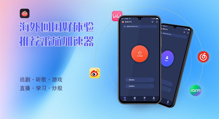 图解ladder vpn 电脑版